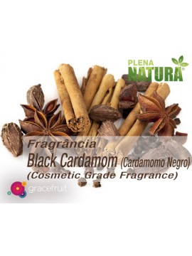Black Cardamom - Cosmetic Grade Fragrance Oil (Cardamomo Negro)